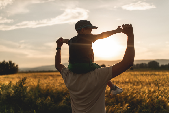 Virginia Fathers' Rights and Protective Orders